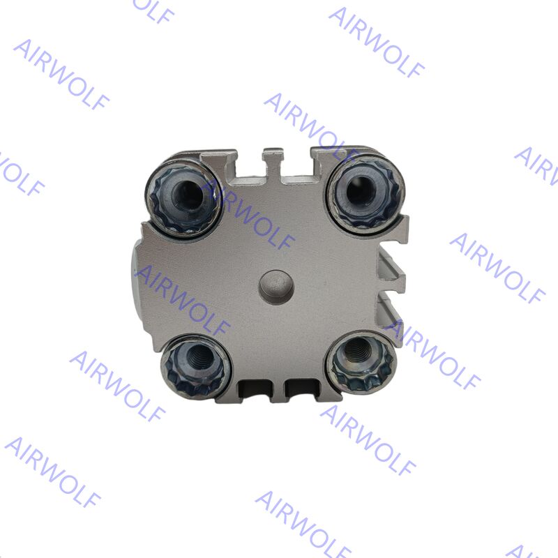 ADVU-40-5-P-A ADVU-40-5-A-P-A,-10,-15,-20,-25,-30,-40,-50,-60,-80 Festo Double-Acting Compact Cylinder